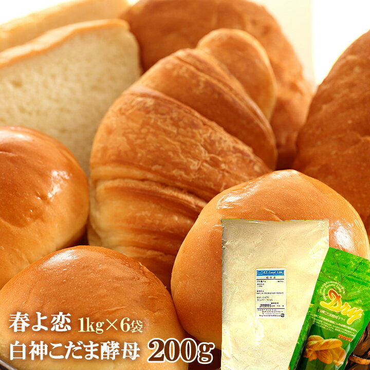 【送料無料】 強力粉 パン用小麦粉 春よ恋 6kg ( 1kg×6袋 ) + 白神こだま酵母 ドライイースト 200g セット / 同梱不可 / 北海道産 10...