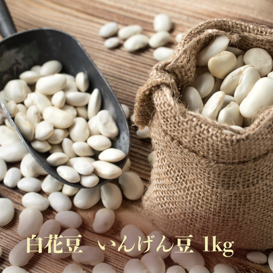 白花豆 1kg インゲン豆