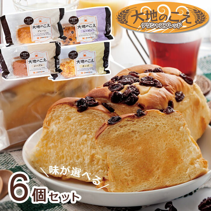 大地のこえ LL ロングライフパン【選べる6個セット/ 送料無料】賞味期限35日 保存料・防腐剤不使用 常温 長期保存 乳酸菌入り 天然酵母 ブレッド しっとり...