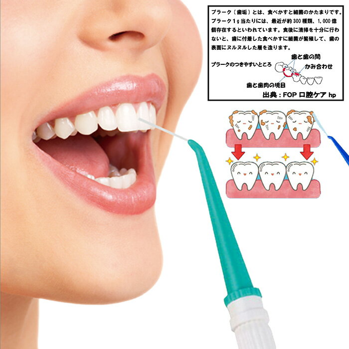 �ظ��ѥ�����륯�꡼�� �������Υ���5���ա� �ظ��� ����Ϥ�� ������륯�꡼�� ������륱�� ���������� ���֥��꡼�ʡ� ���꡼�ʡ� �����åȿ�ή ����� ���� ���� ���м�� ���н��� ���� ���ͽ�� ���� ͽ�� ����Ϥ �������硼���ȳ������ ������̵�������ϰ����