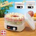 フードドライヤー ドライフルーツメーカー プチカラ Ki-90554 フードドライヤー ドライフード ビーフジャーキー 食品乾燥 アイシング クッキー ヘルシー...