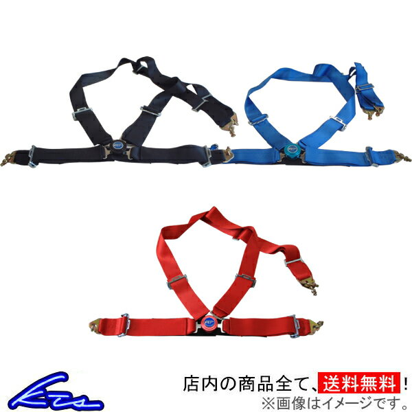 Schroth シュロス Flexi 2x2 ハーネス 【 サーキット レース シートベルト 内装パーツ 車 4輪 】