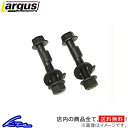 ティアナ J31系 J32系 L33 キャンバーボルト 2本セット ラルグス キャンバーボルト フロント 14mm Largus 2個 TEANA 偏芯ボルト キャンバー角 sgw【店頭受取対応商品】