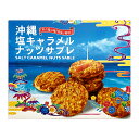楽天スーパーSALE 10%OFF サブレ 雪塩を使用 沖縄 お土産【塩キャラメル ナッツサブレ 大】
