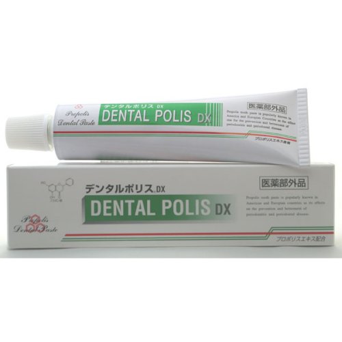 デンタルポリスDX 80g デンタルポリスDX 80g