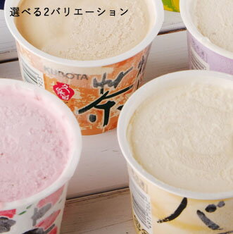 【送料無料・バレンタイン】久保田バラエティーカップセット/生果実まるごとジューシー/高知の特産果物/8個/お取り寄せ/ギフト/高知/お土産/アイスキャンディー/フルーツ/アイスキャンデー/シャーベット/応援/支援/感謝/コロナに負けるな