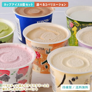 お歳暮 久保田バラエティーカップセット 生果実まるごとジューシー 高知の特産果物 8個 アイスクリーム アイス アイスキャンディー シャーベット ギフト
