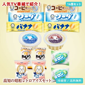高知の昭和レトロアイスセット おっぱいアイス 駄菓子 昔懐かし 14個 アイスクリーム アイスキャンディー アイスキャンデー ギフト