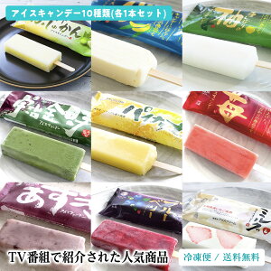 日経プラス1でNo.1選出 「よ〜いドン!」アイスセット 大ヒット商品 ギフト 生果実まるごとジューシー 高知の特産果物 10本 アイスクリーム アイスキャンディー アイスキャンデー