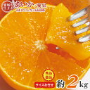 【12月初旬から順次ご発送】送料無料 安心の自社検品 愛媛県産 あいか 愛果 紅まどんな みかん 愛媛みかん 愛まどんな 訳アリ サイズお任せ 秀品 優品 約 2kg みかん 国産 国産みかん ご家庭用 みかん 愛媛県 愛媛 紅マドンナ ご自宅用 果物 くだもの フルーツ