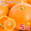 【2020/順次配送中】送料無料 訳あり 家庭用 有田みかん...