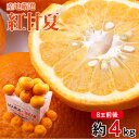 【3月末発送】 【 紅甘夏 約 4kg 8玉前後 】 送料無料 産地厳選 紅甘夏 約 4kg 8玉前後 紅甘 甘夏 べにあまなつ あまなつ 鹿児島 熊本 愛媛 和歌山 みかん 国産 国産みかん ご家庭用 みかん ご自宅用 果物 くだもの フルーツ ギフト