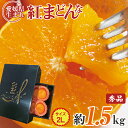 【2019/予約受付中】 愛媛県産 紅まどんな みかん 愛媛...