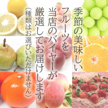 【2022/順次配送中】ギフト 贈答用 送料無料 季節の果物 3種詰め合わせ りんご いちご 不知火 デコポン さくらんぼ せとか はまさき 文旦 国産 ご家庭用 ご自宅用 加工用 果物 くだもの フルーツ ギフト 訳あり 冬ギフト