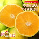 【2020/順次配送中】送料無料 家庭用 福岡県産 早生みかん 極早生みかん マイルド130 早見みかん 福岡みかん 温州みかん 約 2kg みかん 国産 国産みかん ご家庭用 みかん 早生 極早生 北原 温州早生 ご自宅用 加工用 果物 くだもの フルーツ ギフト 訳あり