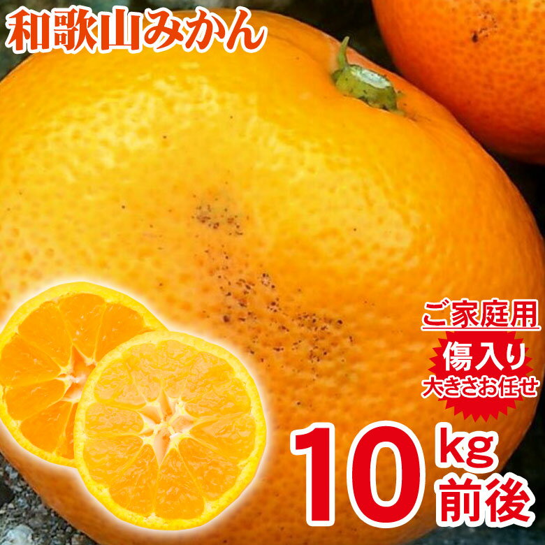 【2022/予約受付中】送料無料 キズ有り 訳あり 家庭用 みかん 和歌山県産 和歌山みかん 温州みかん サイズお任せ サイズ混合 サイズおまかせ 10kg前後 訳あり キズあり 国産 国産みかん ご家庭用 みかん 和歌山 和歌山産 温州早生 ご自宅用 果物 くだもの フルーツ ギフト