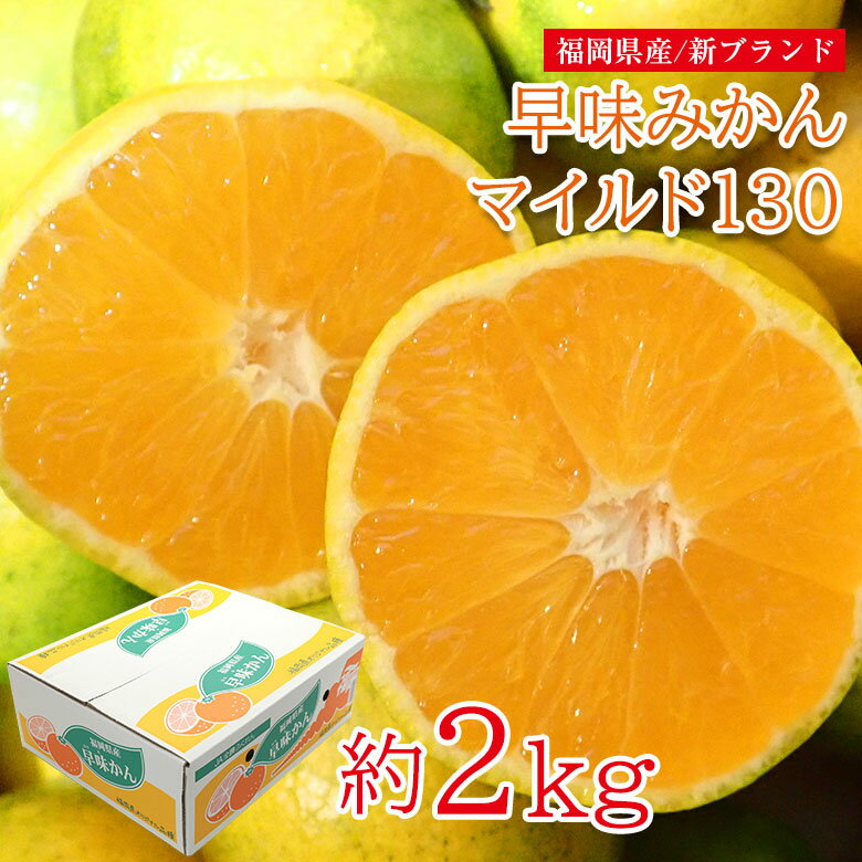 【2022/予約受付中】 送料無料 家庭用 福岡県産 早生みかん 極早生みかん マイルド130 早味みかん 福岡みかん 温州みかん 約 2kg みかん 国産 国産みかん ご家庭用 みかん 早生 極早生 北原 温州早生 ご自宅用 加工用 果物 くだもの フルーツ ギフト 訳あり