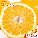 【2月中旬発送】【 はっさく 4.5kg ～ 5kg 】 送料無料 地域厳選 みかん はっさく 八朔 約 4.5kg ～ 5kg 秀品 優品 みかん 和歌山 愛媛 広島 国産 国産みかん ご家庭用 みかん ご自宅用 果物 くだもの フルーツ 敬老の日 ギフト 訳あり キズあり