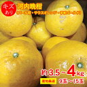 【3月中旬以降から順次ご発送】 【 河内晩柑 約 3.5kg 〜 4kg 9〜15玉 】送料無料 産地厳選 河内晩柑 パール柑 サウスオレンジ 宇和ゴールド 3...
