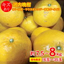 【3月中旬以降から順次ご発送】 【 河内晩柑 約 7.5kg 〜 8kg 16〜35玉 】送料無料 産地厳選 河内晩柑 パール柑 サウスオレンジ 宇和ゴールド ...