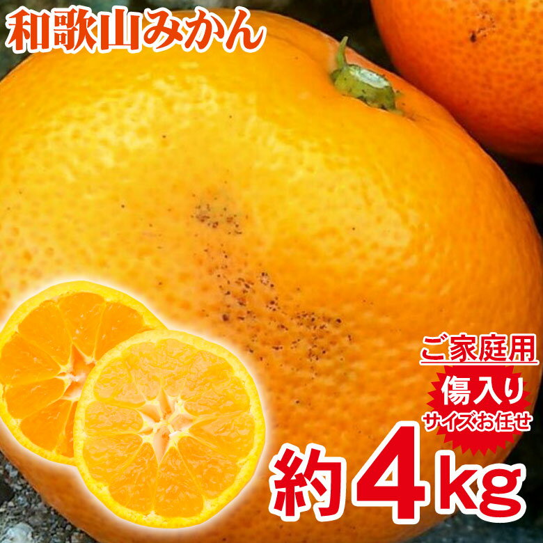【10月下旬から順次ご発送】 キズ有り 訳あり 家庭用 みかん 和歌山県産 和歌山みかん 温州みかん サイズお任せ サイズ混合 サイズおまかせ 4kg 前後 訳...