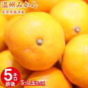 【2020/出荷開始】 送料無料 佐賀県産 唐津 唐津みかん...