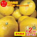 【3月10日頃～順次発送】 【 河内晩柑 約 2kg 4～8玉 】送料無料 産地厳選 河内晩柑 パール柑 サウスオレンジ 約 2kg 4～8玉 キズ有り 国産 国産みかん ご家庭用 みかん ご自宅用 果物 くだもの フルーツ 訳あり