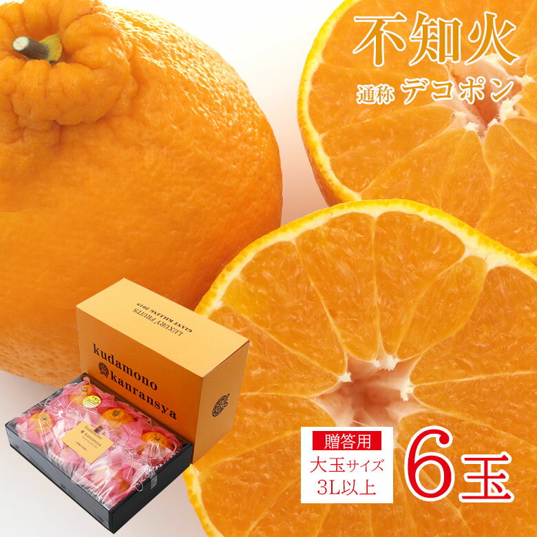 【2月初旬から順次ご発送】 安心の自社検品 自社梱包 送料無料 ギフト 贈答用 不知火 デコポン サイズ 3L以上 大玉 サイズ 6玉 和歌山県産 和歌山みかん 佐賀県 佐賀 愛媛県 愛媛 熊本県 熊本 広島県 広島 長崎県 長崎 みかん 国産 国産みかん ご家庭用 みかん ギフト