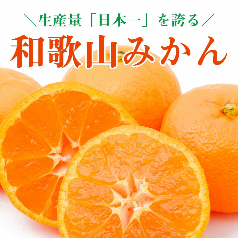 【2022/予約受付中】送料無料 キズ有り 訳あり 家庭用 みかん 和歌山県産 和歌山みかん 温州みかん サイズお任せ サイズ混合 サイズおまかせ 10kg前後 訳あり キズあり 国産 国産みかん ご家庭用 みかん 和歌山 和歌山産 温州早生 ご自宅用 果物 くだもの フルーツ ギフト