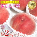 【9月15日以降順次ご発送予定】【 特選 さくら 白桃 約 2kg 】送料無料 白桃 桃 特選 約 2kg 5~8 玉入り JA ふくしま 未来 福島県 福島 桃 もも モモ ギフト プレゼント ご自宅用 果物 くだもの フルーツ