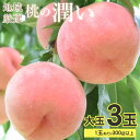 【5/15限定★1等最大100%ポイントバック!※要エントリー】【7月7日から順次ご発送】【 桃 秀品 大玉 1玉300g以上 3玉 】 桃 予約 送料無料 「...