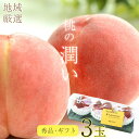 【5/15限定★1等最大100%ポイントバック!※要エントリー】【7月7日から順次ご発送】【 桃 ギフト 大玉 3玉 】 桃 予約 送料無料 「潤い」桃ギフト ...