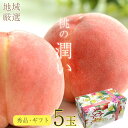【7月7日から順次ご発送】【 桃 ギフト 大玉 5玉 】 桃 予約 送料無料 「潤い」桃ギフト 桃 5玉 大玉 300g 以上 ギフト用 贈答品 和歌山県 和歌山 山梨 山形 福島 桃 もも モモ ギフト プレゼント ご自宅用 果物 くだもの フルーツ