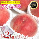 【9月15日以降順次ご発送予定】【 特秀 さくら 白桃 約 2kg 】送料無料 白桃 桃 特秀 約 2kg 5~8 玉入り JA ふくしま 未来 福島県 福島 桃 もも モモ ギフト プレゼント ご自宅用 果物 くだもの フルーツ