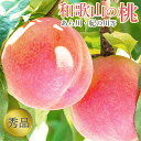 【6月下旬から順次ご発送】 【 和歌山県 桃 】桃 予約 モモ 和歌山 和歌山のもも ギフト 和歌山県 秀品 和歌山県産 白桃 桃 白鳳等 約 1kg 2kg ...