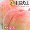 【6月下旬発送】 【 和歌山県 桃 約 1kg 3〜6玉 】桃 予約 もも モモ 和歌山 和歌山のもも ギフト 和歌山県 桃 秀品 和歌山県産 白桃 桃 白鳳等 約 1kg 3〜6玉 ご家庭用 和歌山県 和歌山 あら川 紀の川 桃 白桃 贈答用 秀品クラス ギフト お中元 プレゼント 果物 くだもの