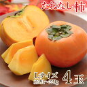 【10月中旬から順次ご発送】【地域厳選 たねなし柿 L サイズ 4玉】 送料無料 たねなし柿 L 4玉 約 191g 〜 220g 玉売り 平核無 平核無柿 秋...