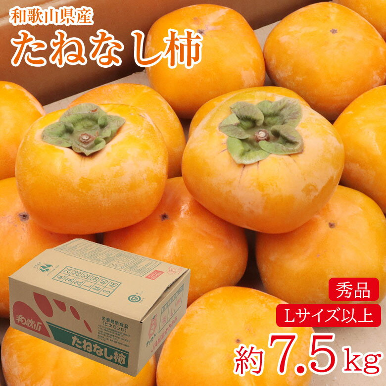 【10月中旬発送】送料無料 和歌山県産 たねなし柿 約 7.5kg 秀品 Lサイズ 以上 ご家庭用 柿 カキ ご自宅用 果物 くだもの フルーツ ギフト プレゼント 和歌山 種なし 種無し 渋柿 秋 冬 旬 通販 ビタミン