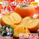 【10月初旬から順次ご発送】 送料無料 奈良県 たねなし柿 ご家庭用 約 7kg 〜 7.5kg 刀根 平核無 平核無柿 秋 柿 産地直送 奈良 西吉野 ご家庭...