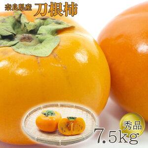 【2022/予約受付中】 送料無料 奈良県 刀根柿 平核無柿 秋 柿 7.5kg 秀品 庄内柿 おけさ柿 ご家庭用 柿 カキ ご自宅用 加工用 果物 くだもの フルーツ 敬老の日 ギフト プレゼント 訳アリ