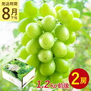 【8月下旬から9月中旬より順次発送】【 2房 1.2kg 前後 シャインマスカット 】 送料無料 地域厳選 粒 ご家庭用 マスカット ぶどう ギフト お中元 暑...