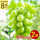 【8月下旬から9月中旬より順次発送】【 2房 800g 前後 シャインマスカット 】 送料無料 地域厳選 粒 ご家庭用 マスカット ぶどう ギフト お中元 暑中...