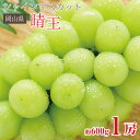 【9月初旬ら順次ご発送】 送料無料 シャインマスカット 晴王 岡山県 シャンマスカット 約 600g 1房 岡山 岡山県産 ご家庭用 マスカット ぶどう ギフト...