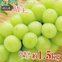 【8月下旬から順次ご発送】 送料無料 シャインマスカット 晴王 岡山県 シャンマスカット 約 1.5kg 1〜3房 岡山 岡山県産 ご家庭用 マスカット ぶどう...