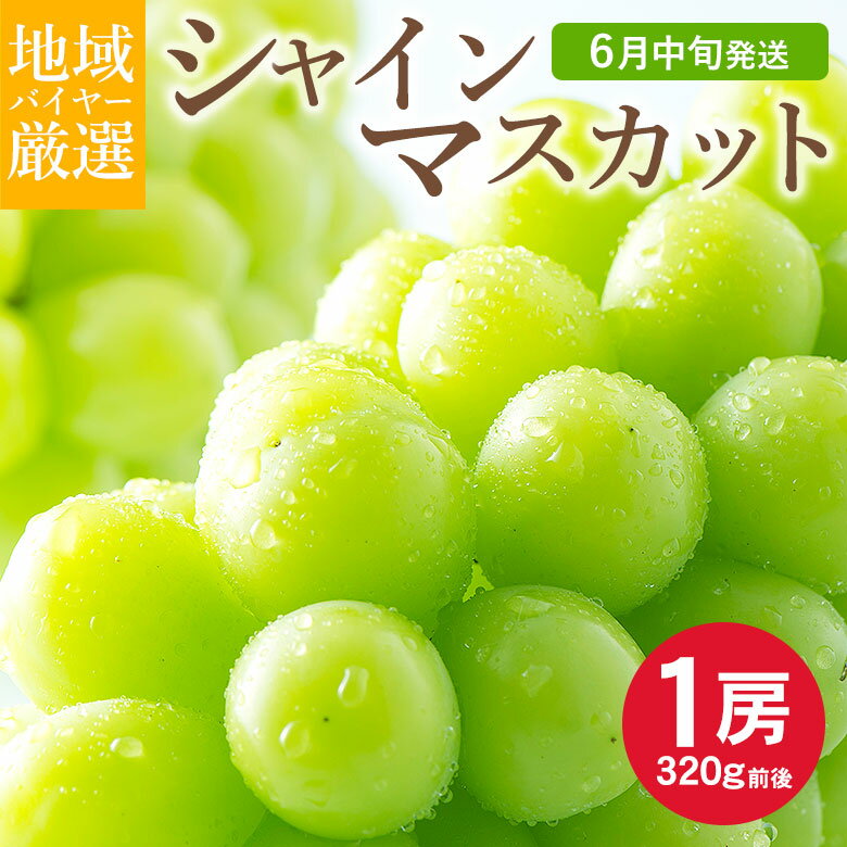 6ȯ ̵ ϰ踷 㥤ޥå  1˼ 320g  ϥ   Ĺ   ޥå ֤ɤ ե 渵 渫  Ϸ ե ץ쥼