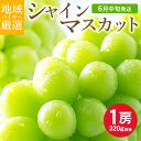 【6月下旬から順次ご発送】 送料無料 地域厳選 シャインマスカット 訳アリ 1房 320g 前後 ハウス栽培 山梨県 岡山県 長野県 香川県 ご家庭用 マスカッ...