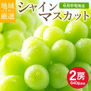 全国お取り寄せグルメ食品ランキング[ブドウ(1～30位)]第29位