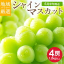  送料無料 地域厳選 シャインマスカット 訳アリ 4房 約 1.2kg 以上 ハウス栽培 山梨県 岡山県 長野県 香川県 ご家庭用 マスカット ぶどう ギフト お中元 暑中見舞い 訳あり 敬老の日 ギフト プレゼント