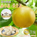 【敬老の日ギフト】【 秀品 鳥取県産 新甘泉 秋甘泉 中玉 3玉 】( 1玉 290g~360g) 贈答用 送料無料 1玉 290g~360g しんかんせん、梨 秀品 鳥取 鳥取県 梨 赤梨 20世紀梨 筑水 なし ナシ ギフト ご自宅用 果物 くだもの フルーツ ギフト 暑中見舞い 敬老の日