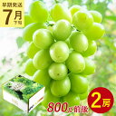 【7月下旬より順次発送】【 2房 800g 前後 シャインマスカット 】 送料無料 地域厳選 粒 ご家庭用 マスカット ぶどう ギフト お中元 暑中見舞い 訳あ...